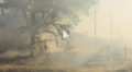 加州蓝变加州灰！山火致周边污染指数爆表破400